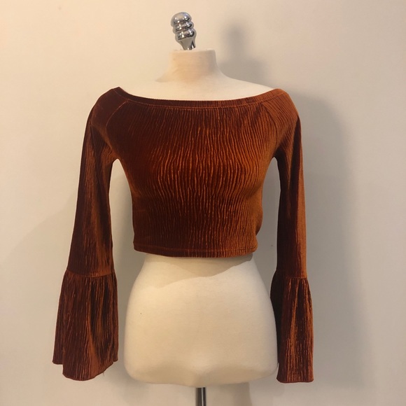 Velvet Flounce Sleeve Top - Picture 1 of 2